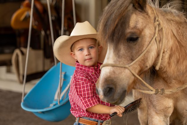 Little cowboy brushing his pony in the barn