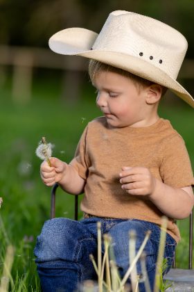 Toddler in a cowboy hat holding a dandelion